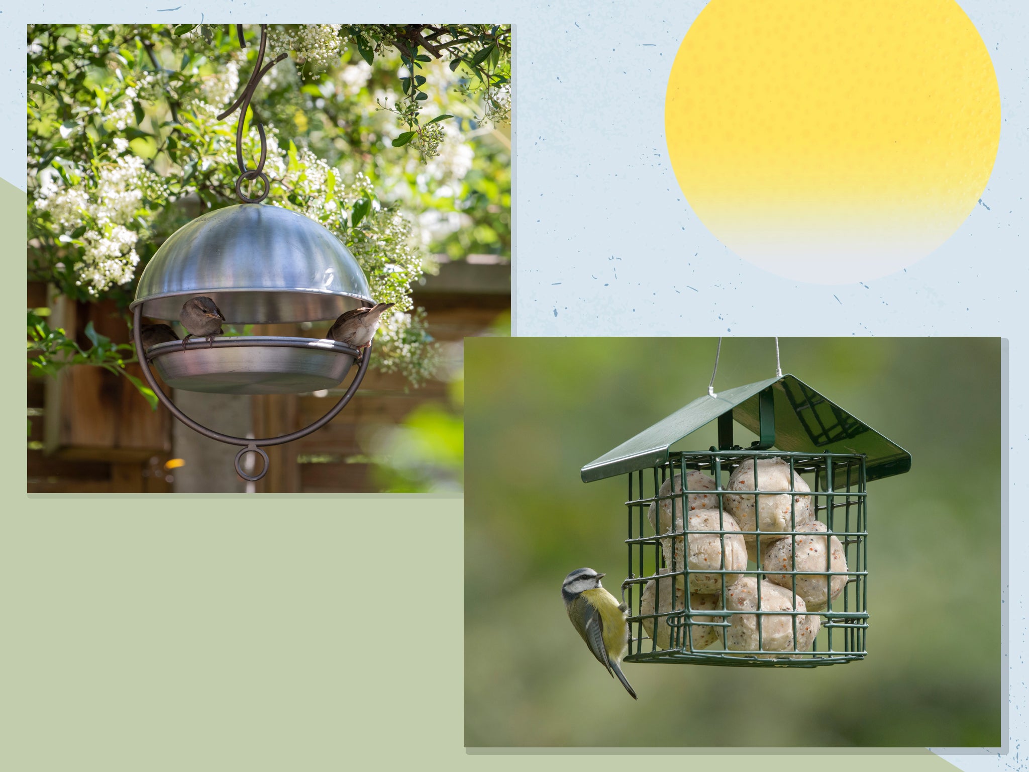 Pets at shop home bird feeder